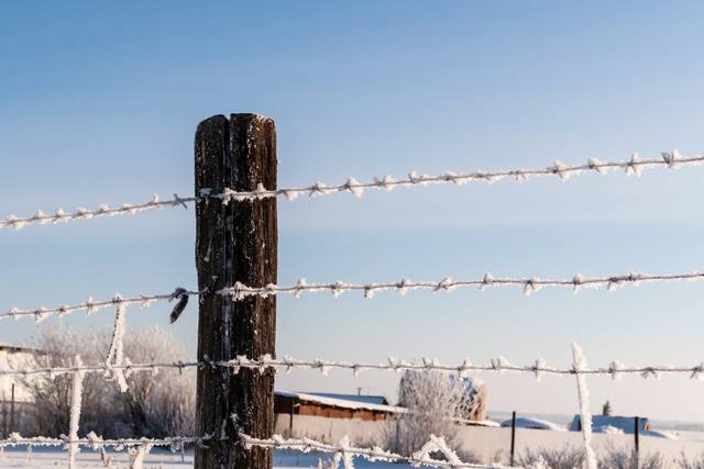 Frost-covered barbed wire fence with a wooden post, in a snowy landscape, against a clear blue sky.