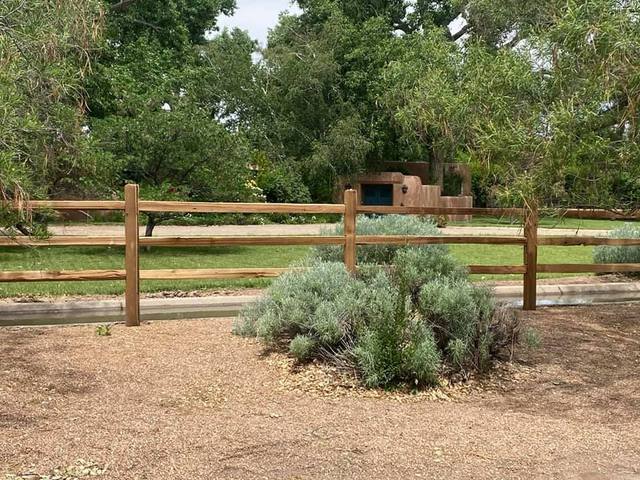 Wooden split-rail fence surrounds a shrub in a yard with gravel ground and trees in the background.