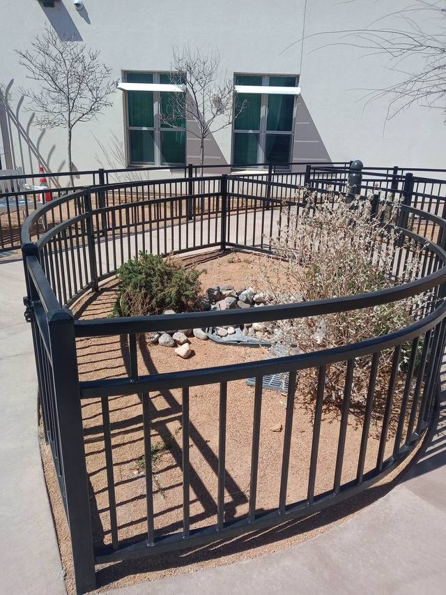 Black metal fence encloses a small garden with plants and rocks against a building with windows.